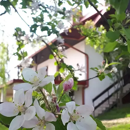 Przystanek Holiday home Zawadka (Myslenice)