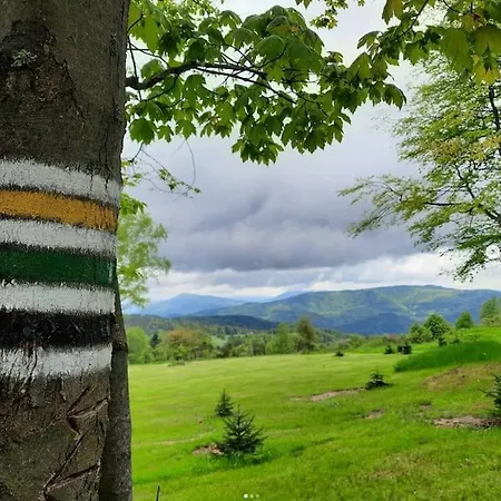 Nyaraló Przystanek *